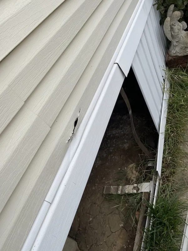 Lake Odessa MI Siding Installation